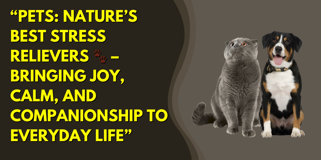 Pets as Stress Relievers – How Dogs and Cats Improve Mental Health
