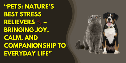 Pets as Stress Relievers – How Dogs and Cats Improve Mental Health