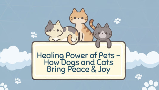 The Healing Power of Pets in Our Daily Lives