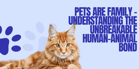 The Unbreakable Bond: Why Our Pets Are Truly Family