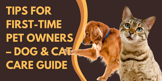 Tips for First-Time Pet Owners – Dog & Cat Care Guide