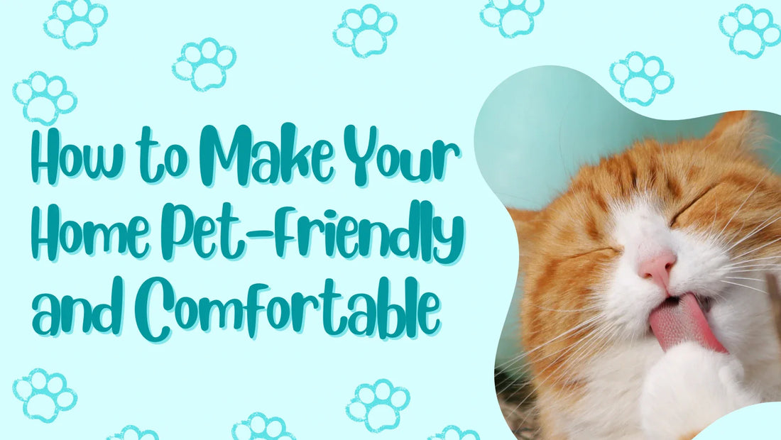 Creating a Comfortable Home for Your Pets