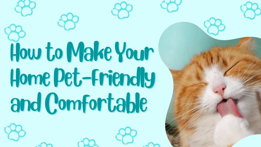 Creating a Comfortable Home for Your Pets