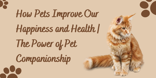 How Pets Improve Our Happiness and Health | The Power of Pet Companionship