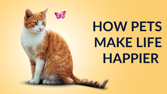 How Pets Make Life Happier – 5 Heartwarming Benefits of Having Pets