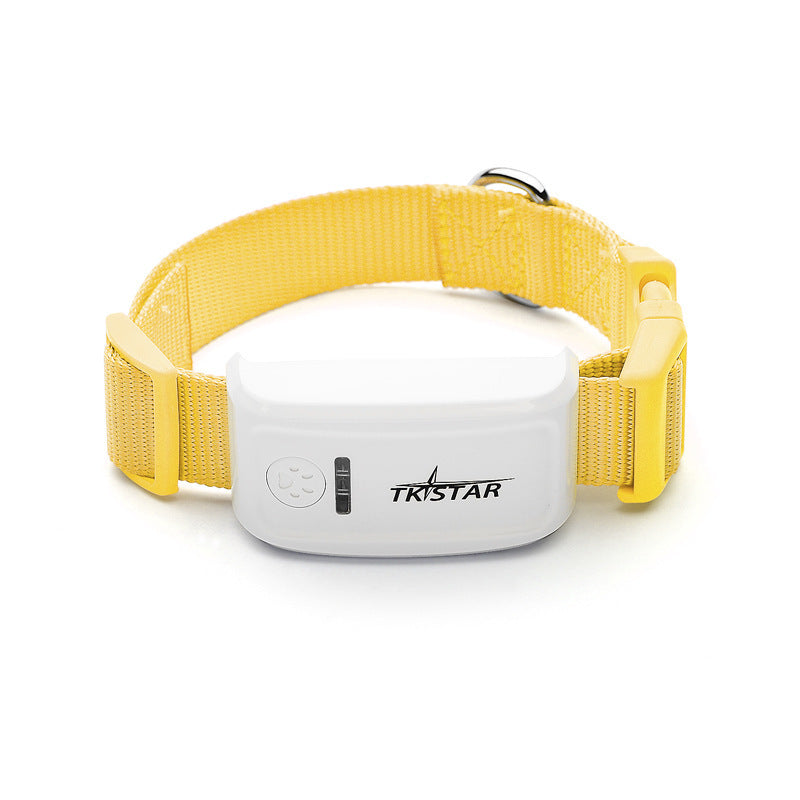 Cat GPS locator device with mobile tracking app