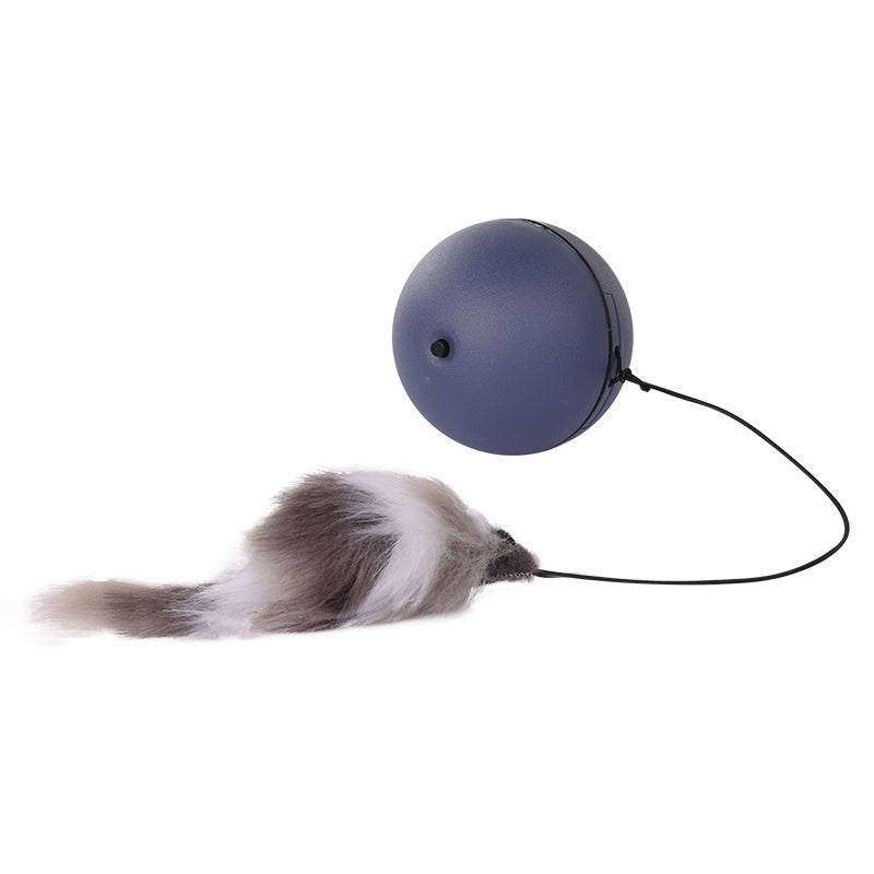 Automatic rolling pet ball toy for cats and small dogs