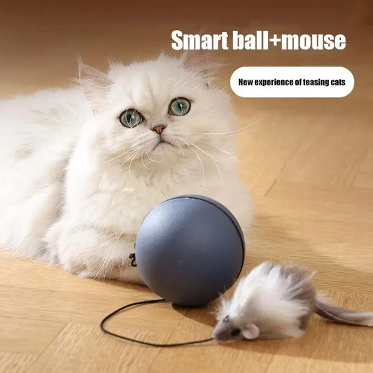 Electric self-play teaser ball for cats and small dogs