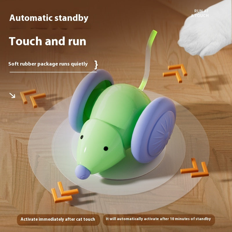 Interactive mouse car cat toy for active kittens
