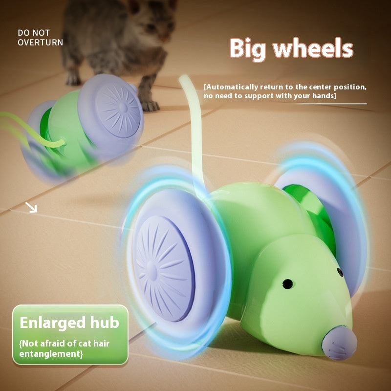 Fun electric mouse car toy for cats indoor play