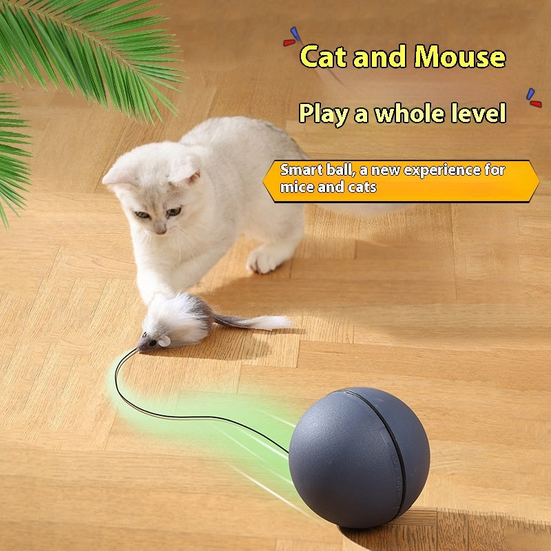 Interactive electric teaser ball for self-play pet fun