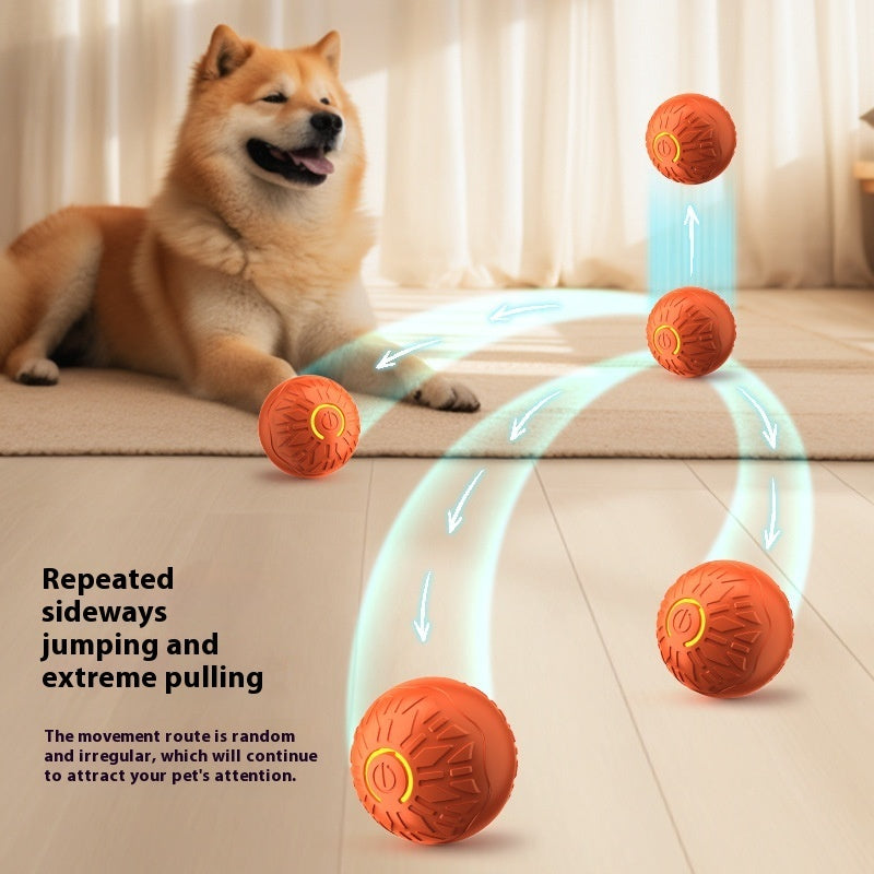Automatic pet toy bouncing ball for small and medium dogs