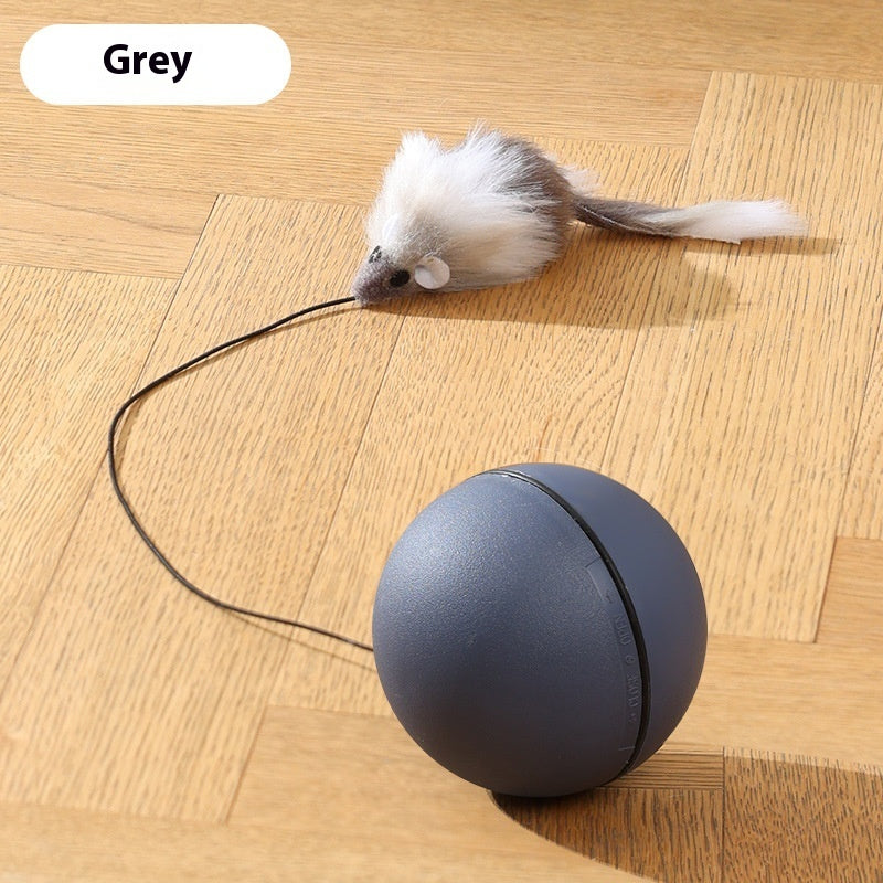 Interactive moving ball toy for dogs and cats