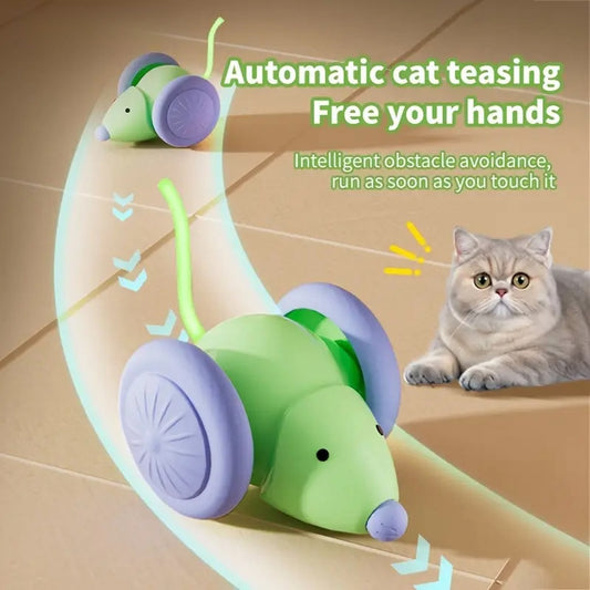 Smart automatic mouse car teaser toy for indoor cats