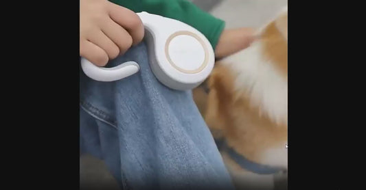 Automatic Retractable Dog Leash – 5M Pet Traction Rope for Small & Medium Dogs