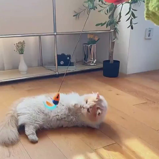 Automatic rolling mouse teaser ball interactive toy for cats and dogs