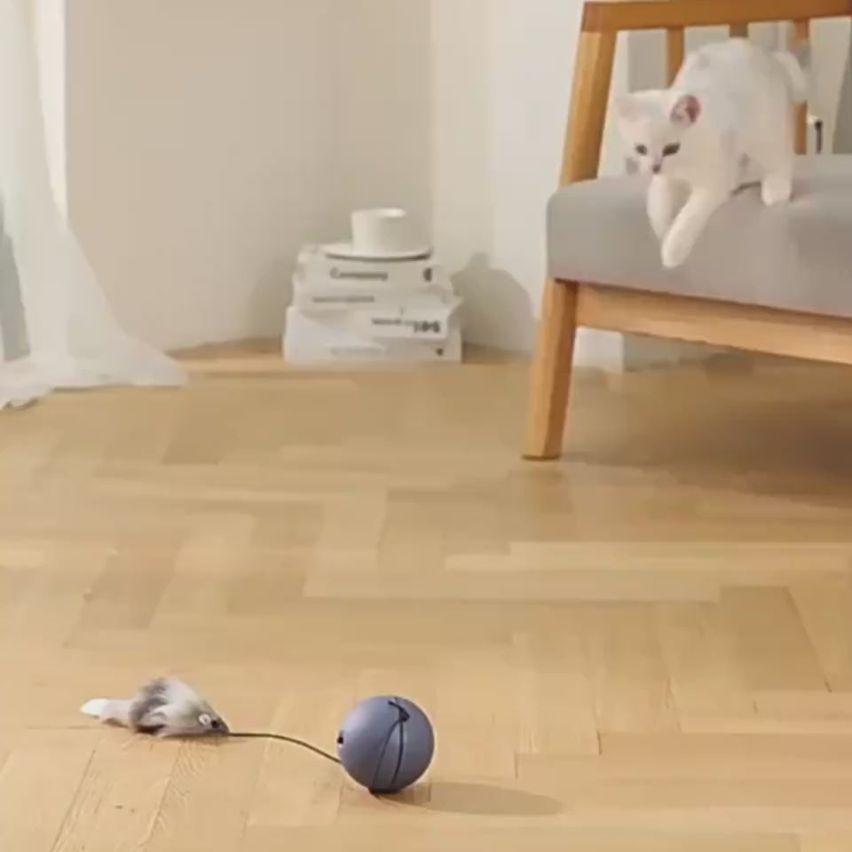 Funny rolling mouse ball interactive electric toy for pets