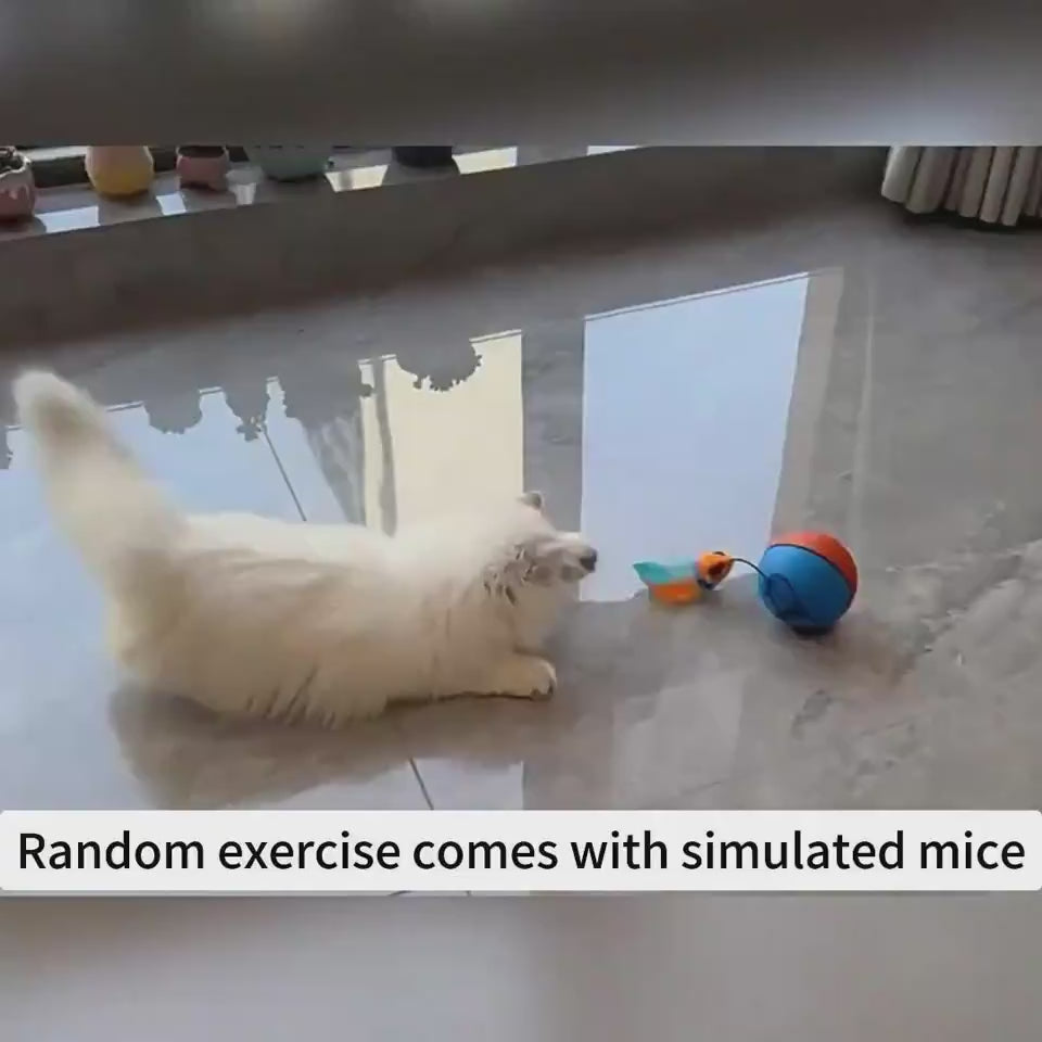 Automatic self-play pet toy rolling teaser ball for cats