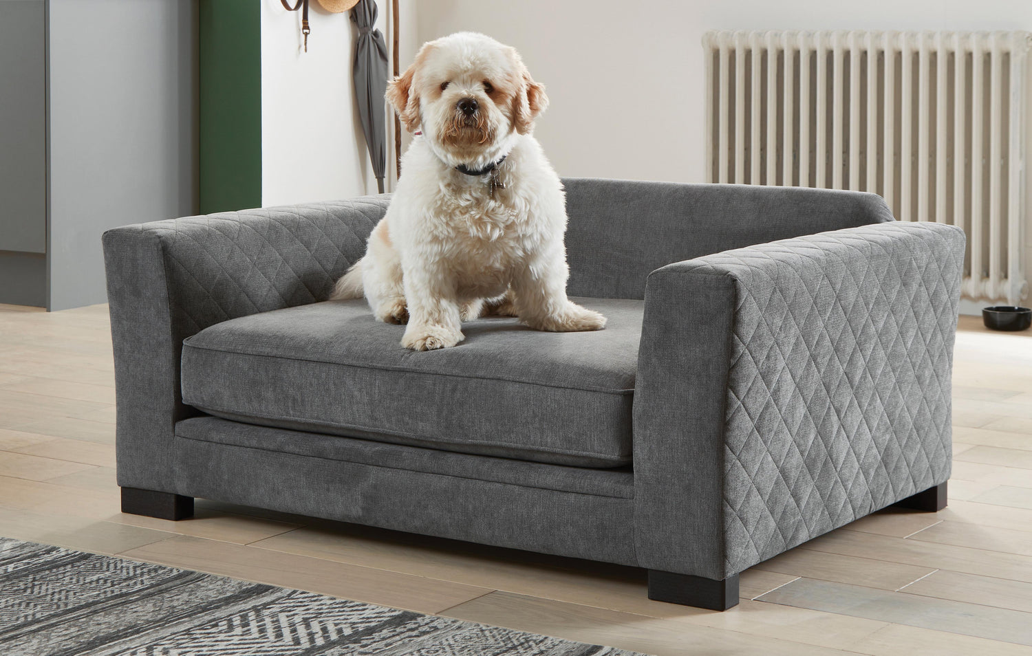 Pet Furniture