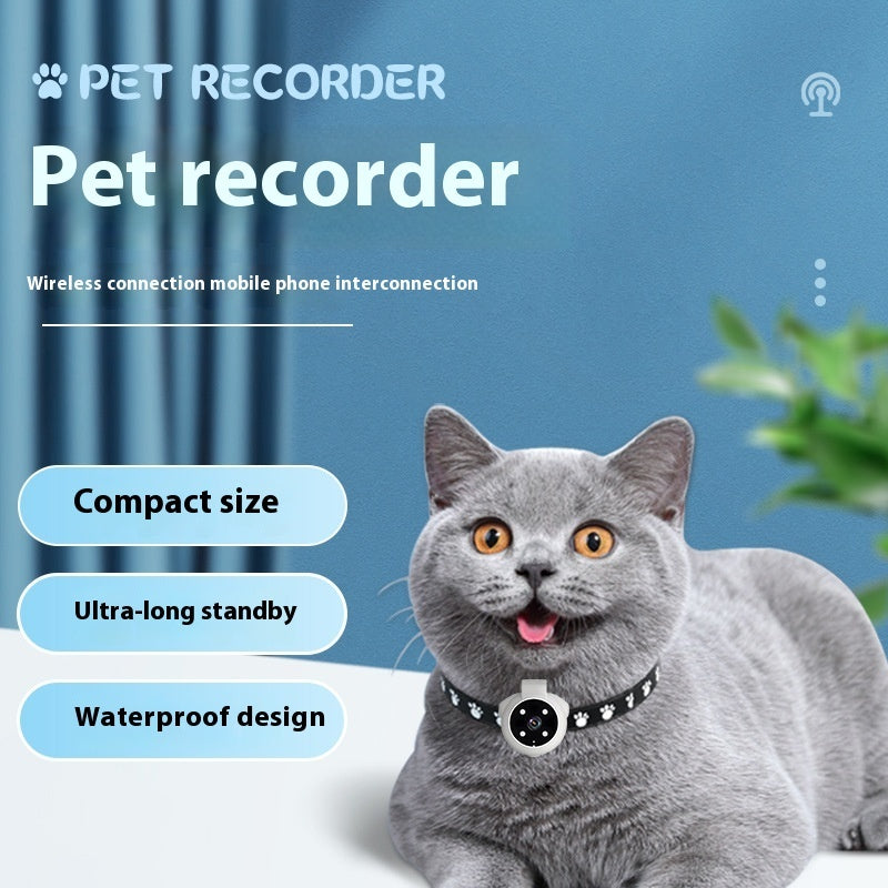 Pet collar with motion recording video camera