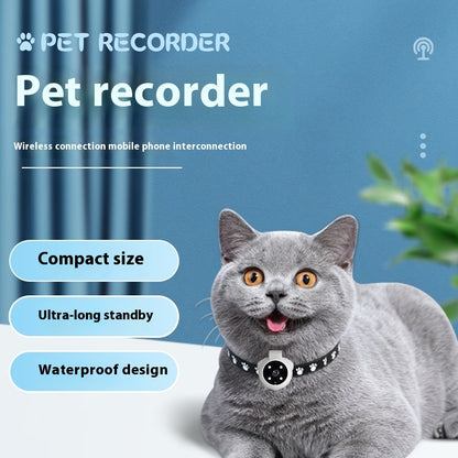 Pet collar with motion recording video camera