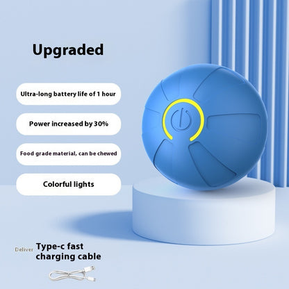 Colorful electric dog toy ball for active pets