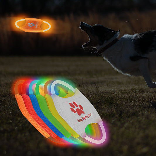 glowing LED dog toy
