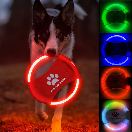 dog flying disc toy