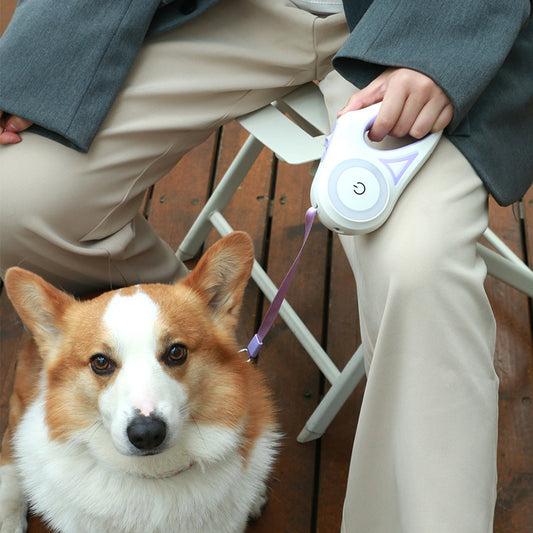 Automatic retractable dog leash and collar with LED light