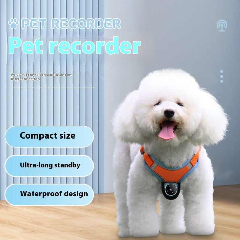 Motion recording pet collar camera for small dogs