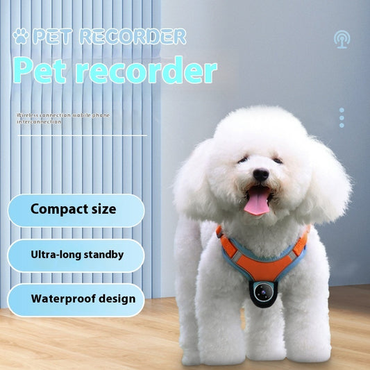 Motion recording pet collar camera for small dogs