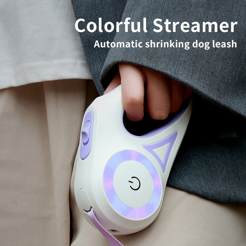 Dog leash with spotlight and adjustable collar for night walks