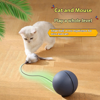 Interactive electric teaser ball for self-play pet fun