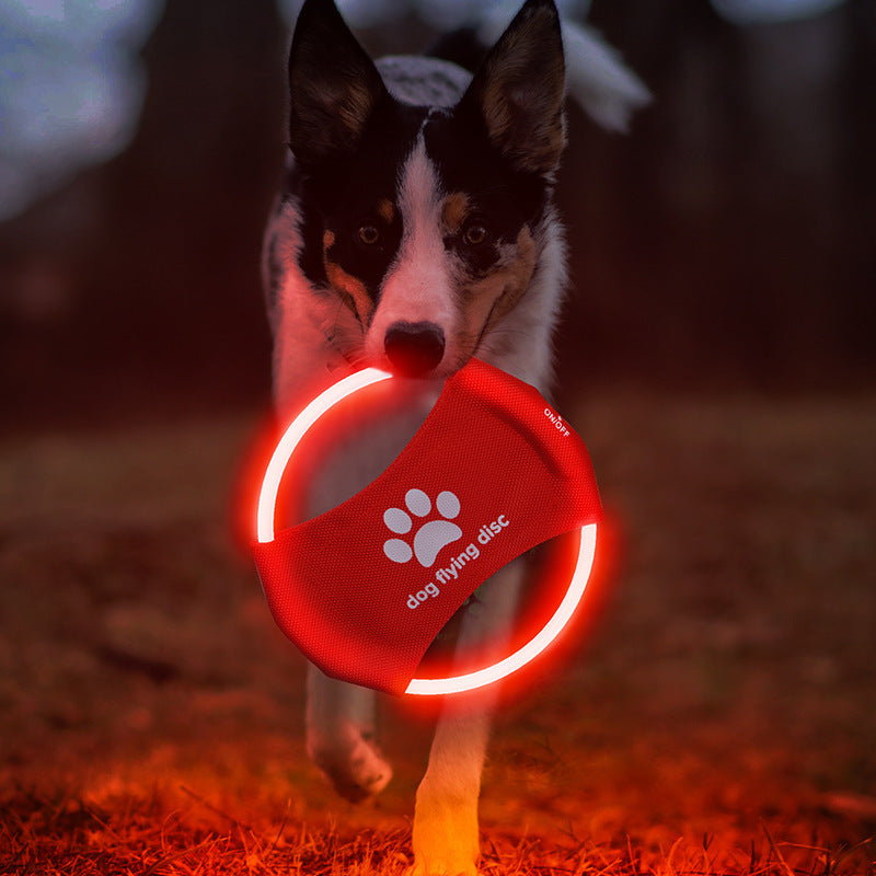 Durable light-up dog frisbee pet toy for outdoor fetch games