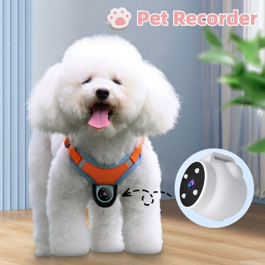 Pet tracker collar with camera for dogs and cats