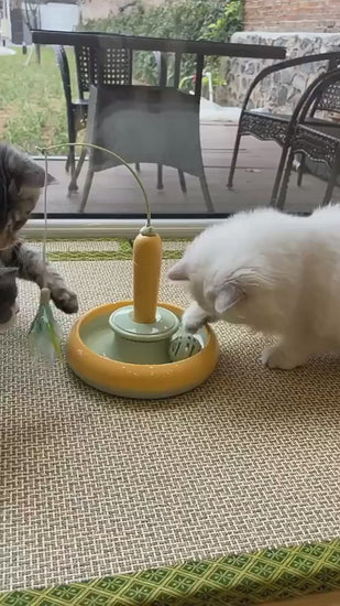 Interactive track cat toy with feather teaser for kittens