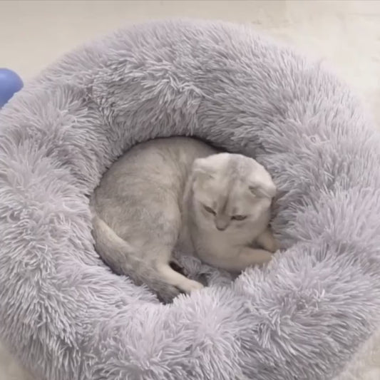 Cozy round plush puppy bed for small dog comfort